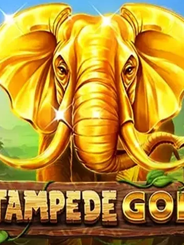 Stampede Gold slot