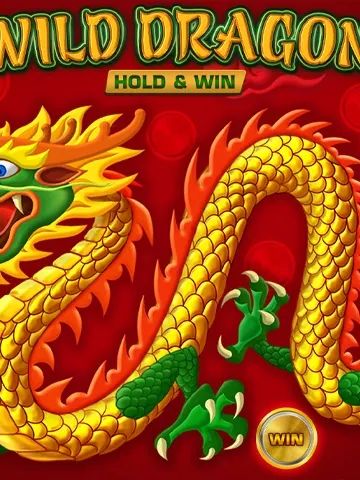 Wild Dragon Hold&Win slot