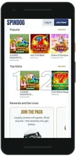 SpinDog sign-up on a phone