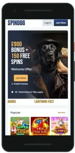 SpinDog app on a smartphone