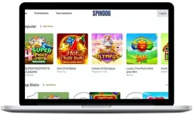 SpinDog live casino on a computer